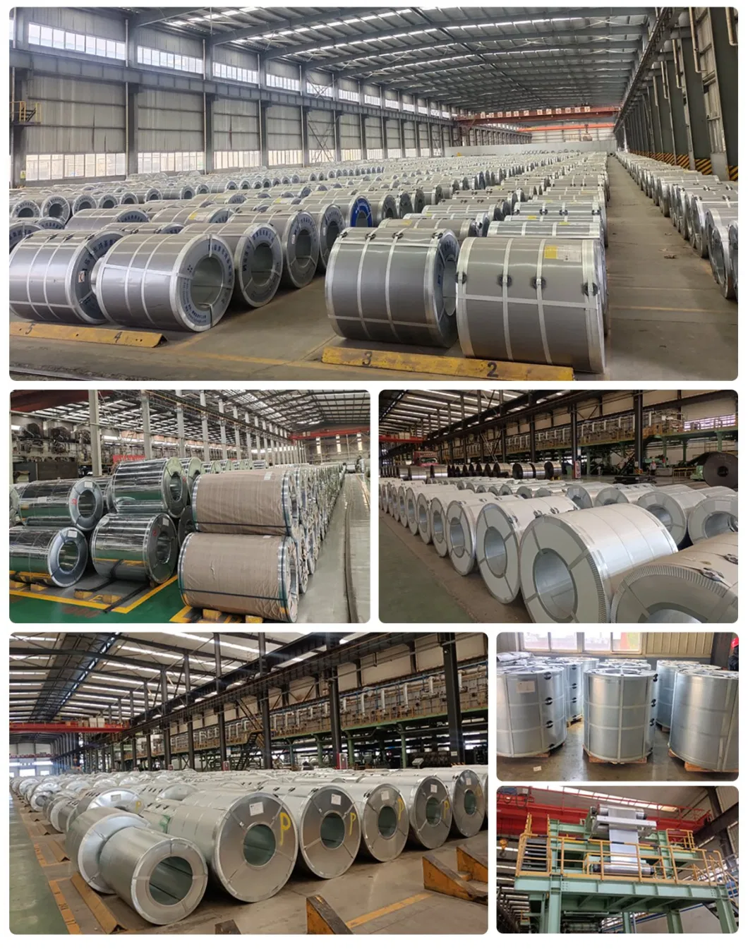 Dx51d Z275 Z350 Hot Dipped Gi Steel Coil SGCC Secc Zinc Coating Steel Sheet Galvanized Steel Coil Price